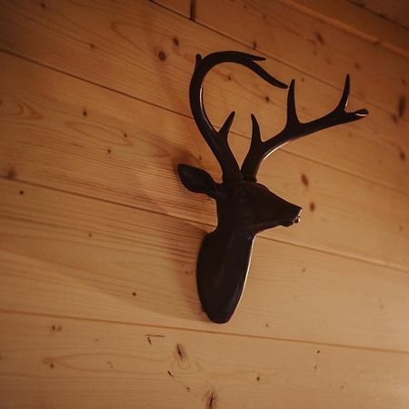 Готель Treehouse Tucapy Екстер'єр фото